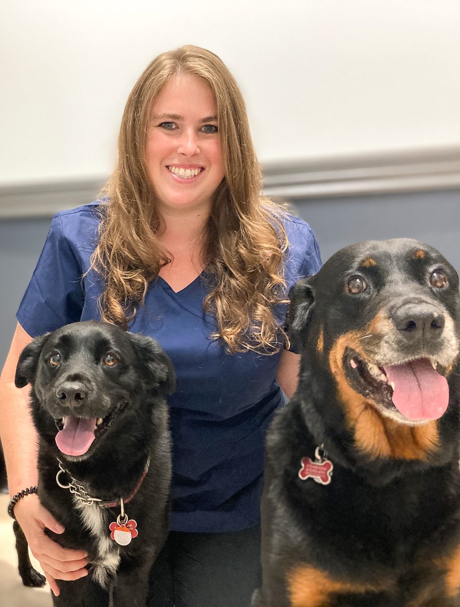 Logan Belleville Animal Clinic Loyalist Veterinary Hospital