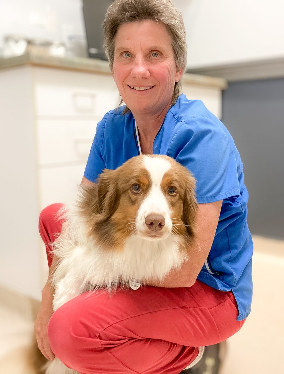 Tammy Belleville Animal Clinic Loyalist Veterinary Hospital