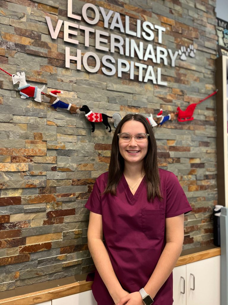 Jenna Belleville Animal Clinic Loyalist Veterinary Hospital
